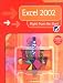 Book Excel 2002 Right from the Start