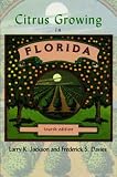 Citrus Growing in Florida