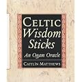 Celtic Wisdom Sticks