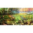 Autumn Dream Day 500pc Jigsaw Puzzle by Mark Susinno