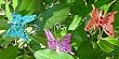 Jeweled Party Suncatcher ButterFLIES Clip-ons(3 colors)