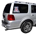 In Concept Arizona Wildcats Window Logo Sticker - 13 x 13"