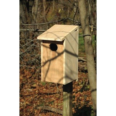 Wood Duck Joy Box
