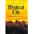 Life in a Medieval City