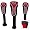 South Carolina Gamecocks