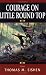 Courage on Little Round Top: A Historical Novel