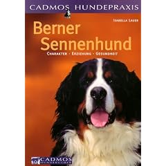 Berner Sennenhund. Charakter, Erziehung, Gesundheit