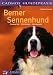 Image of Berner Sennenhund. Charakter, Erziehung, Gesundheit