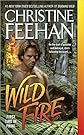 Wild Fire (Leopard Series)