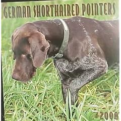 German Shorthaired Pointers 2000 Calendar