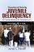 Preventing and Reducing Juvenile Delinquency: A Comprehensive Framework