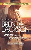 Stranded with the Tempting Stranger: The Executives Surprise Baby (Bestselling Author Collection)