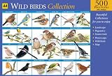 AA Wild Birds Collection (AA Jigsaw Collection)