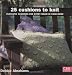 25 Cushions to Knit: Fantastic Cushions for Every Room in Your Home (C&B Crafts)