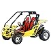 250cc Go Kart, Water Cooled 4 Stroke