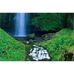 Poster 30 x 20 cm - "Multomah Falls, Columbia River Gorge, Oregon" von Richard Cummins / Lonely Planet Images - auch in anderen Gr��en und als Leinwandbild erh�ltlich
