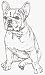 Dog Rubber Stamp - French Bulldog - 1E