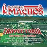 Trayectoria
