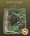 Book Ositos/Little Bears (Nacidos Para Ser Salvajes/Born to Be Wild)