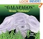 Galapagos Means Tortoises