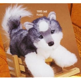  Douglas - Joli Mini Husky