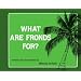 What Are Fronds For? (A Kolowalu Book)
