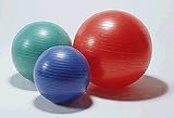 55cm PowerMax Stability Ball