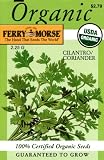 Ferry-Morse 3039 Organic Cilantro Seeds (2.25 Gram Packet)