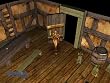 Neverwinter Nights