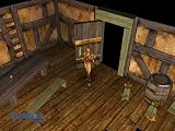 Neverwinter Nights