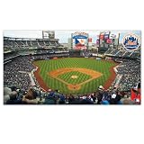 MLB New York Mets Large Floor Mat