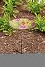 English Garden Glass Birdbath