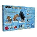 Nina Ottosson Dog Brick Activity Toy