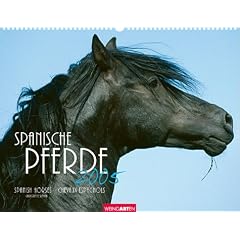 Spanische Pferde