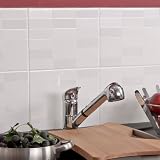 TELISSA CHROME KITCHEN SINK DIRECTIONAL HOSE MIXER TAP