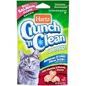 Hartz Crunch n Clean 3-Ounce Cat Treat, Salmon