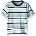 Gymboree Baby Boys' Multi Striped Top