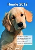 Hunde 2012 Wochenkalender