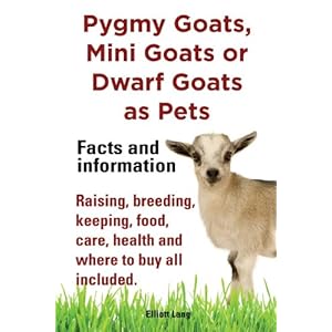Pygmy Goats as Pets. Pygmy Goats, Mini Goats or Dwarf Goats: facts and information. Raising, breeding, keeping, food, care, health and where to buy al