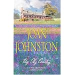 Big Sky Country book cover