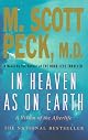 In Heaven As on Earth : A Vision of the Afterlife (Inspirational Hardcover Collection)