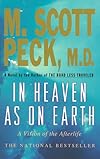 In Heaven As on Earth : A Vision of the Afterlife (Inspirational Hardcover Collection)