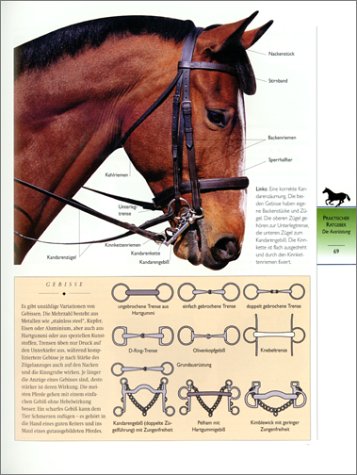 Cover image : Pferde. Reittechniken, Pflege und Haltung, Rassen