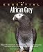 The Essential African Grey