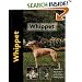 Whippet (Pet Love)