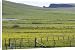 Canvas Prints of COS-2016 Flower meadows and Fences, with Sea Cliffs in background from Ardea Wildlife Pets