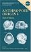 Anthropoid Origins: New Visions (Developments in Primatology: Progress and Prospects)