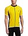 Canari Cyclewear Men's Endurance Short Sleeve Cycling Jersey, Pyramid, Large