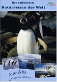 Eigenschaften Colibri UmweltReisen  / Antarktis & Pinguine erleben