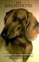 The Dachshund